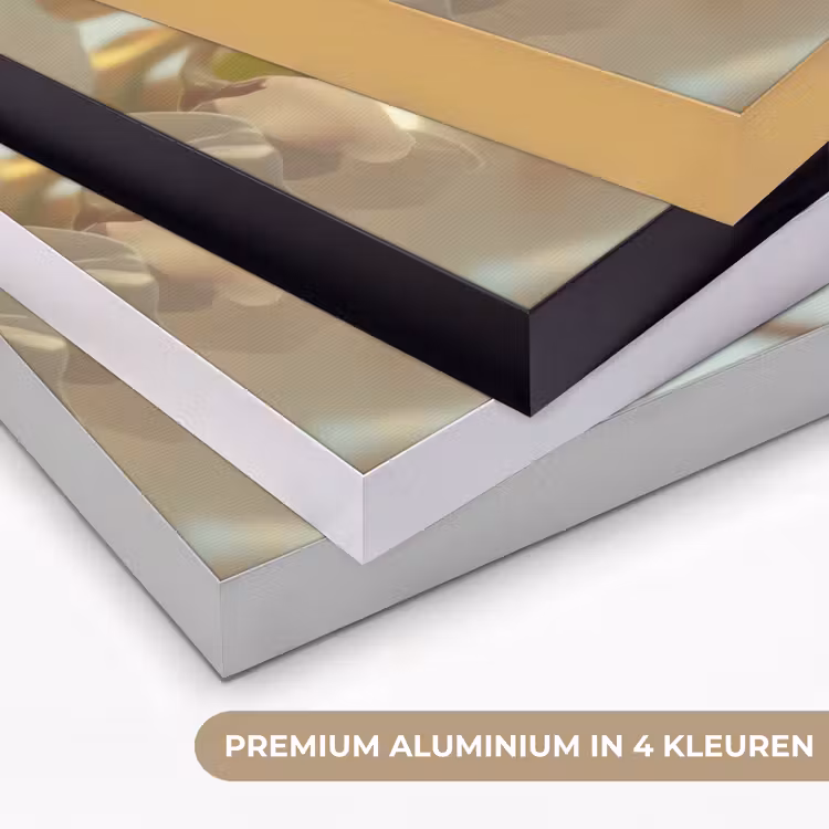 Bloesems - Wit - Zonnestralen -  Bloemblaadjes Textielframe zwart klein -USP_kleurenNL