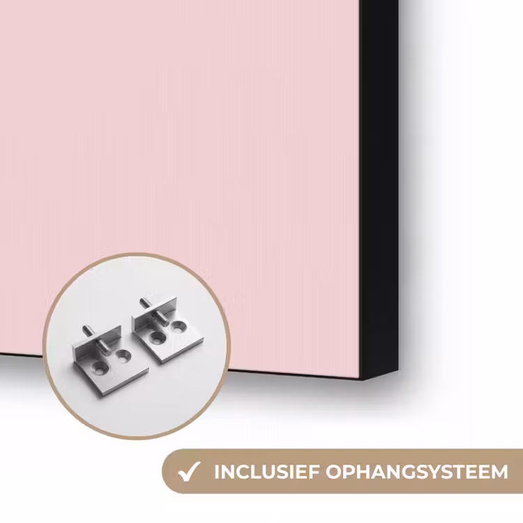 Blush - Pink - Roze Textielframe zwart klein 947 -USP_ophangsysteemNL