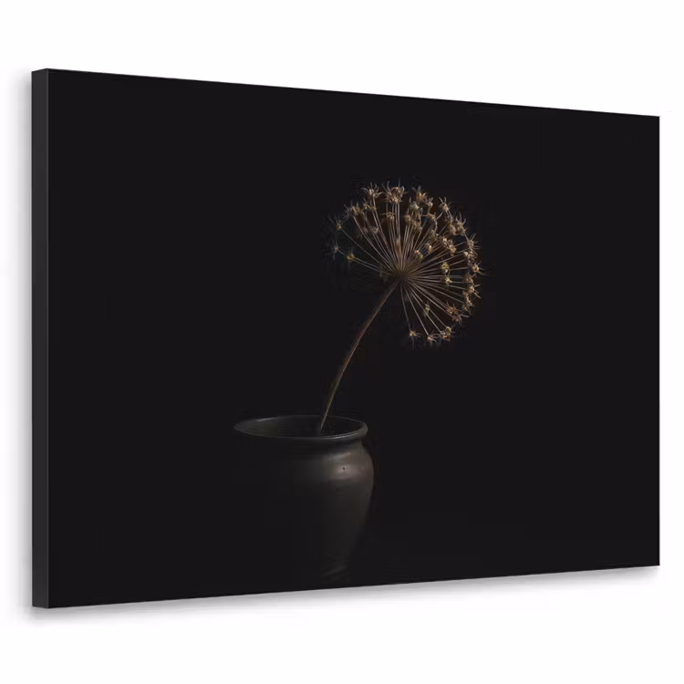 Bol - Gedroogd - Vaas - Zwart Textielframe zwart klein -3d