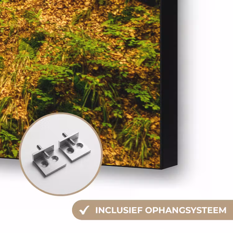 Bomen - Steen - Bos - Natuur - Planten Textielframe zwart klein -USP_ophangsysteemNL