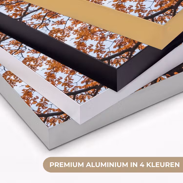 Boom - Bladerdak - Herfst - Oranje - Sfeervol Textielframe zwart klein -USP_kleurenNL
