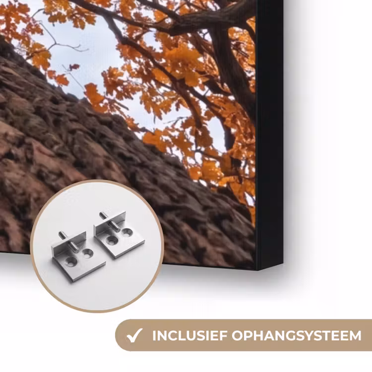Boom - Bladerdak - Herfst - Oranje - Sfeervol Textielframe zwart klein -USP_ophangsysteemNL