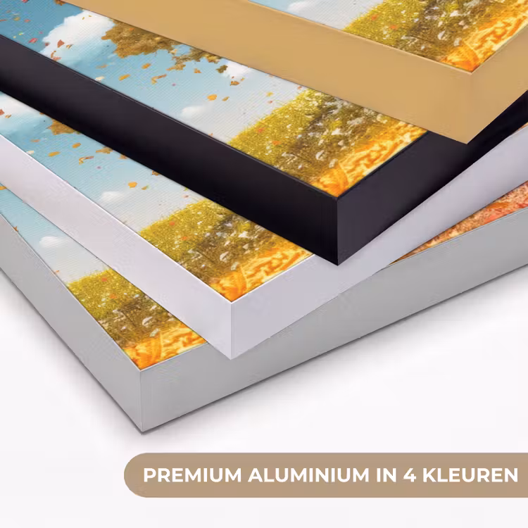 Boom - Kleurrijk - Natuur - Levensboom Textielframe zwart klein -USP_kleurenNL