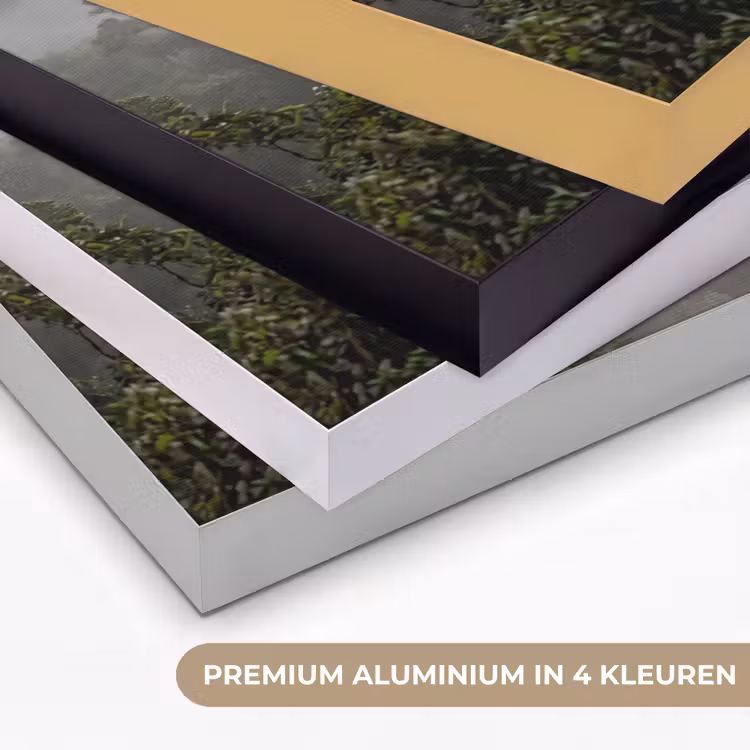 Boom - Mistig - Bos - Groen - Natuur Textielframe zwart klein -USP_kleurenNL