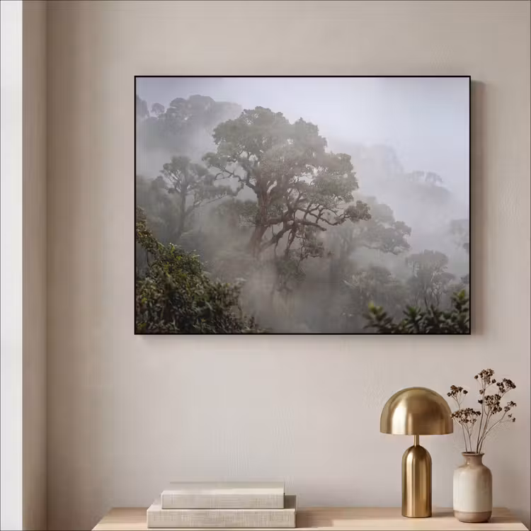 Boom - Mistig - Bos - Groen - Natuur Textielframe zwart klein -sfeer2