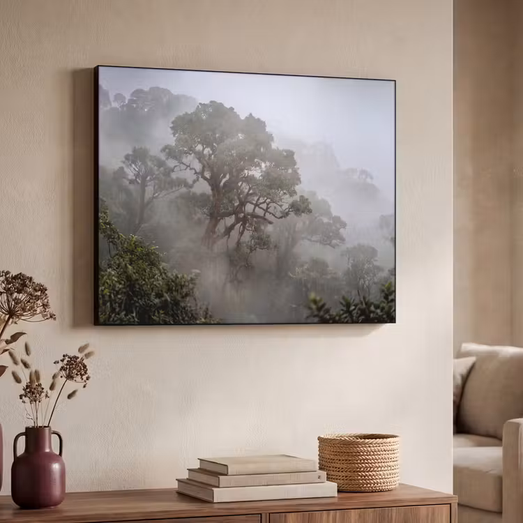 Boom - Mistig - Bos - Groen - Natuur Textielframe zwart klein -sfeer3