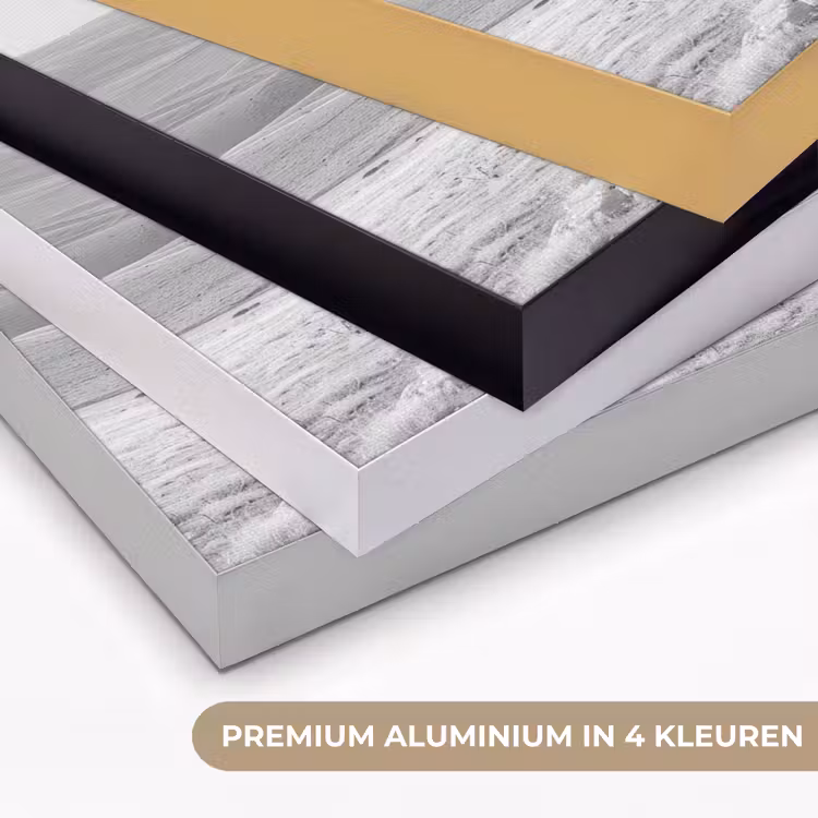 Boom - Natuur - Roze - Zwart wit Textielframe zwart klein -USP_kleurenNL