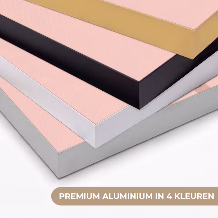 Boom - Palm - Natuur - Illustratie - Roze Textielframe zwart klein -USP_kleurenNL