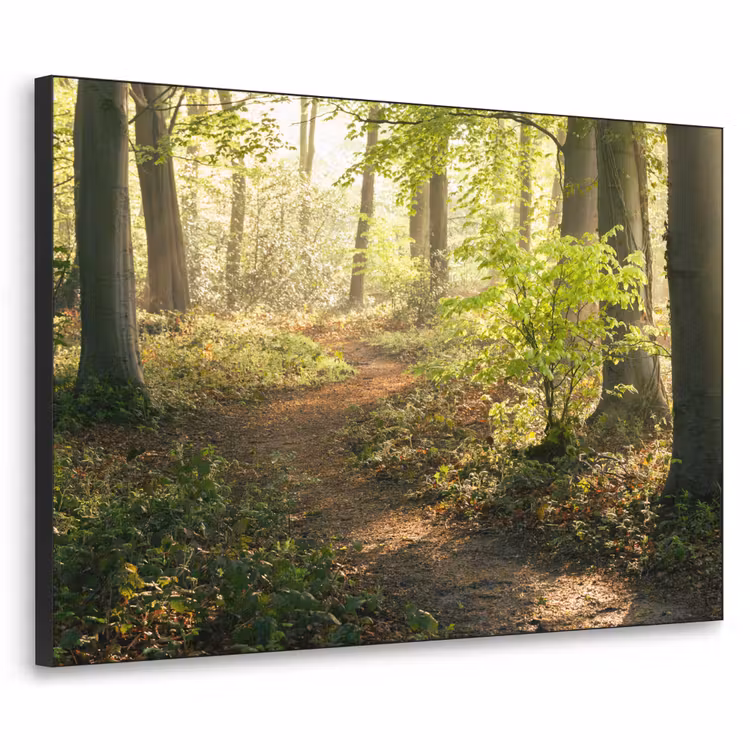 Bos - Bomen - Pad - Zon - Planten - Bladeren - Natuur Textielframe zwart klein -3d
