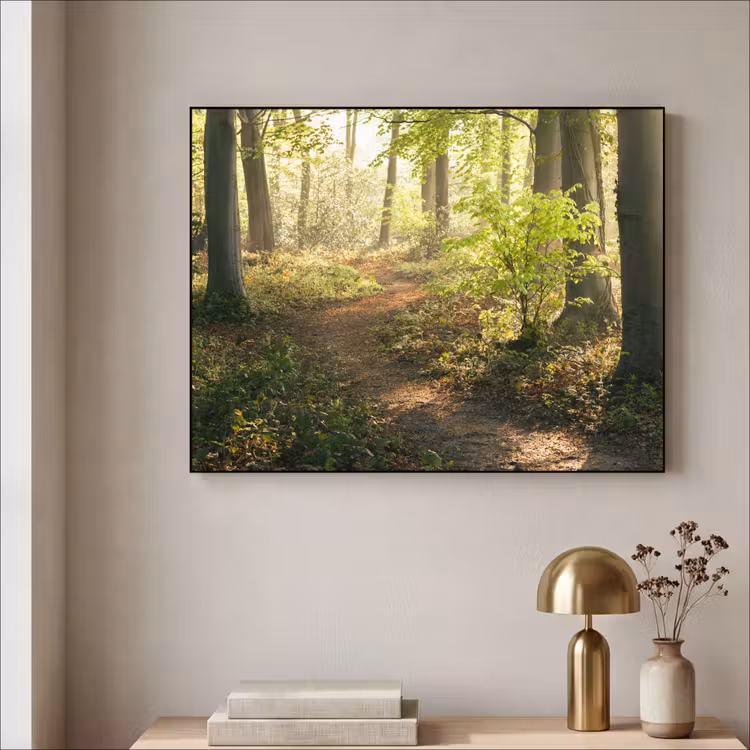 Bos - Bomen - Pad - Zon - Planten - Bladeren - Natuur Textielframe zwart klein -sfeer2