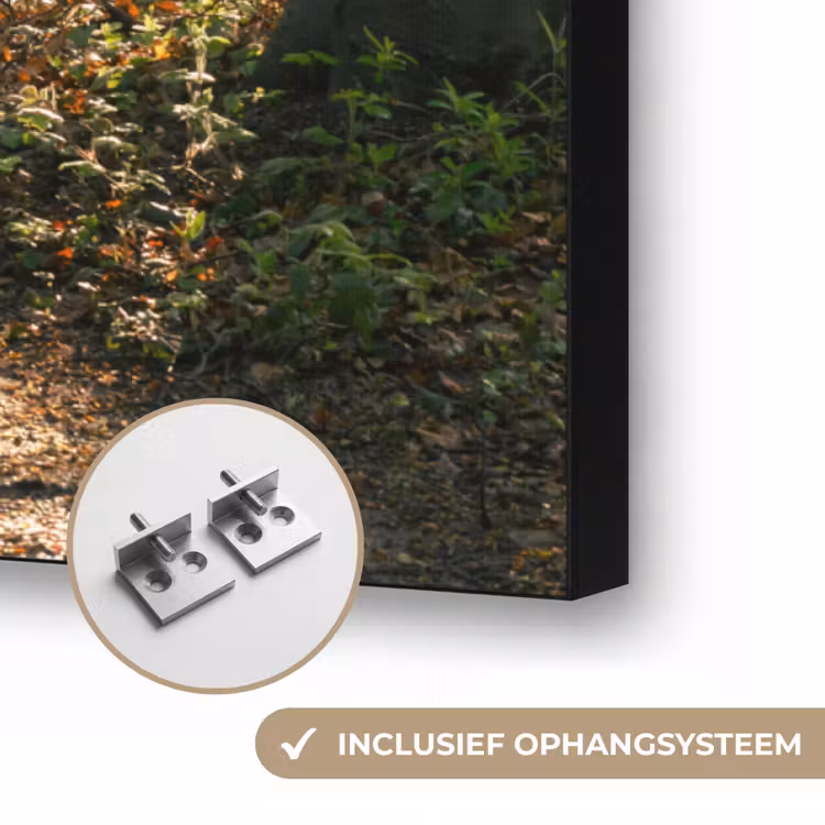 Bos - Bomen - Pad - Zon - Planten - Bladeren - Natuur Textielframe zwart klein -USP_ophangsysteemNL