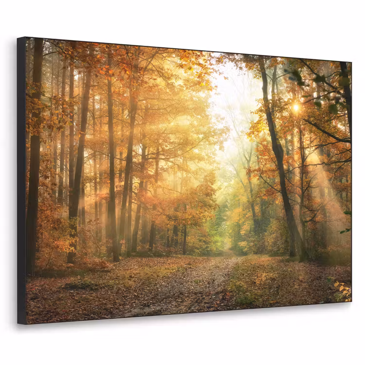 Bos - Herfst - Zon - Landschap - Natuur - Bomen - Bladeren Textielframe zwart klein -3d