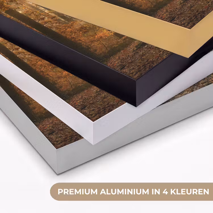 Bos - Herfst - Zon - Landschap - Natuur - Bomen - Bladeren Textielframe zwart klein -USP_kleurenNL