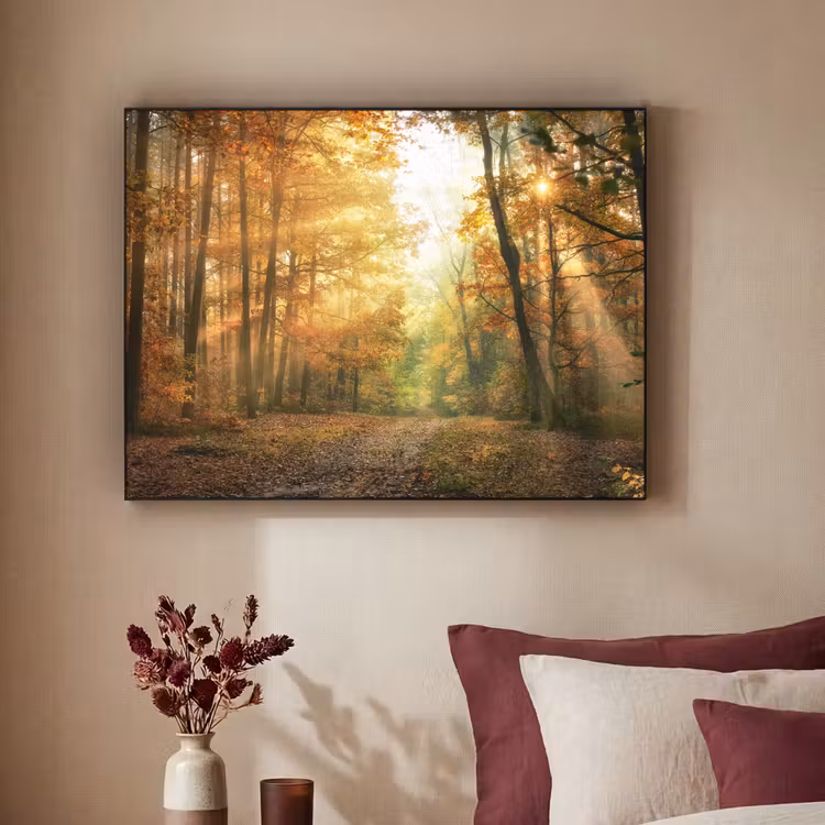 Bos - Herfst - Zon - Landschap - Natuur - Bomen - Bladeren Textielframe zwart klein -sfeer1