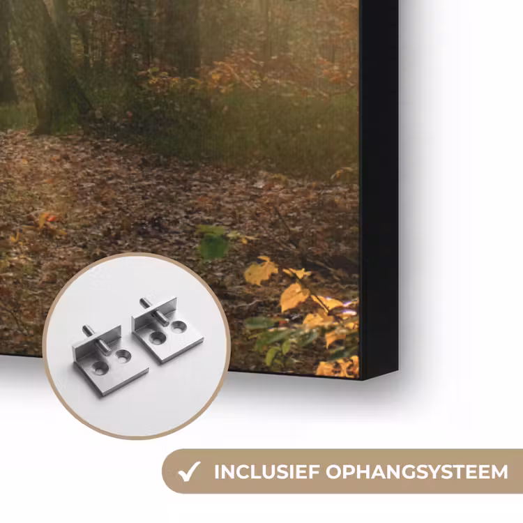 Bos - Herfst - Zon - Landschap - Natuur - Bomen - Bladeren Textielframe zwart klein -USP_ophangsysteemNL