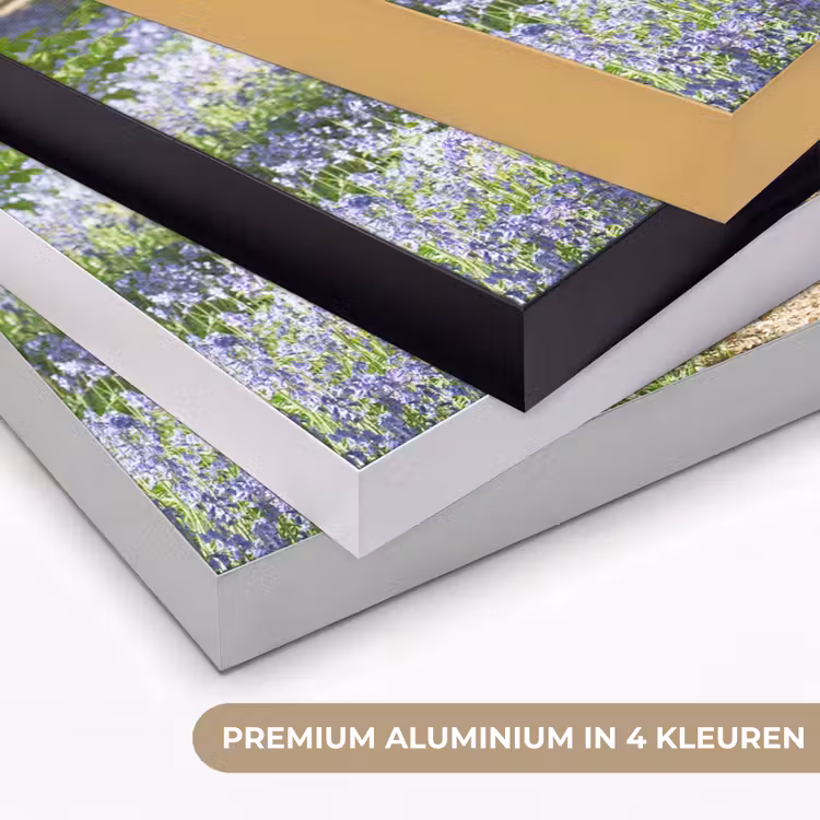 Bos - Pad - Bloemen - Paars - Groen - Natuur Textielframe zwart klein -USP_kleurenNL
