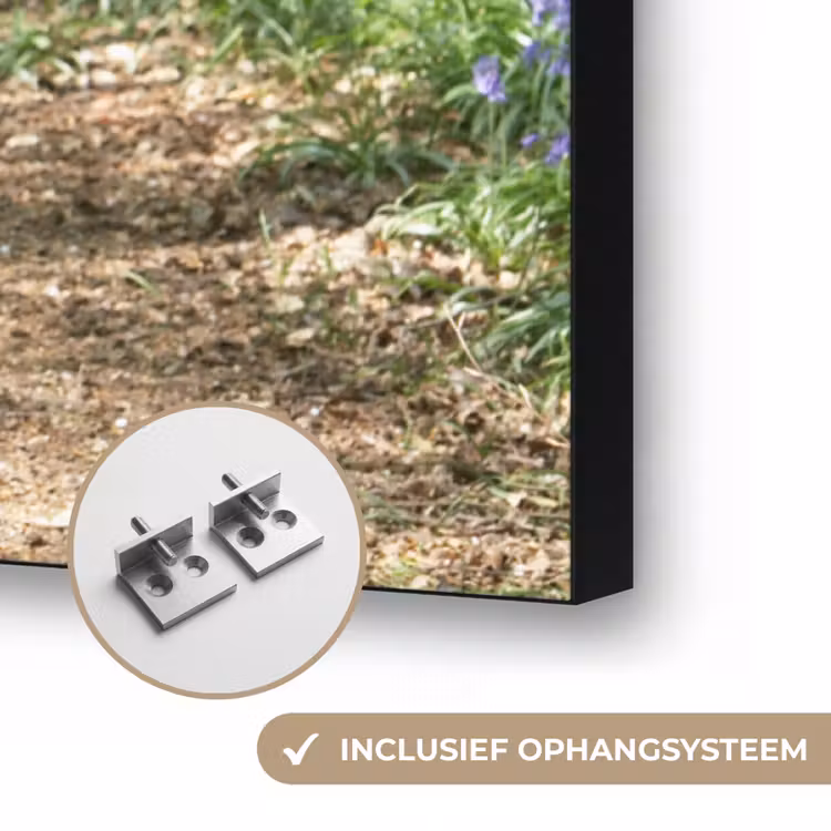 Bos - Pad - Bloemen - Paars - Groen - Natuur Textielframe zwart klein -USP_ophangsysteemNL