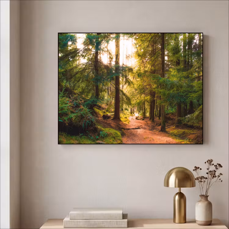 Bos - Pad - Bomen - Groen - Zon - Natuur Textielframe zwart klein -sfeer2