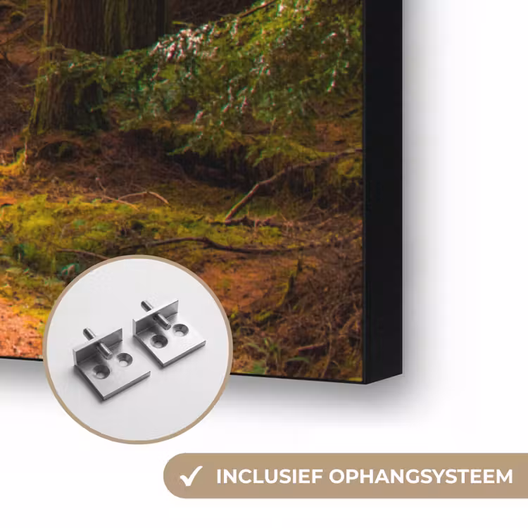 Bos - Pad - Bomen - Groen - Zon - Natuur Textielframe zwart klein -USP_ophangsysteemNL