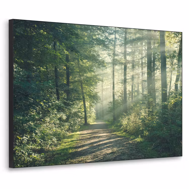 Bos - Pad - Zon - Bomen - Groen - Natuur Textielframe zwart klein -3d