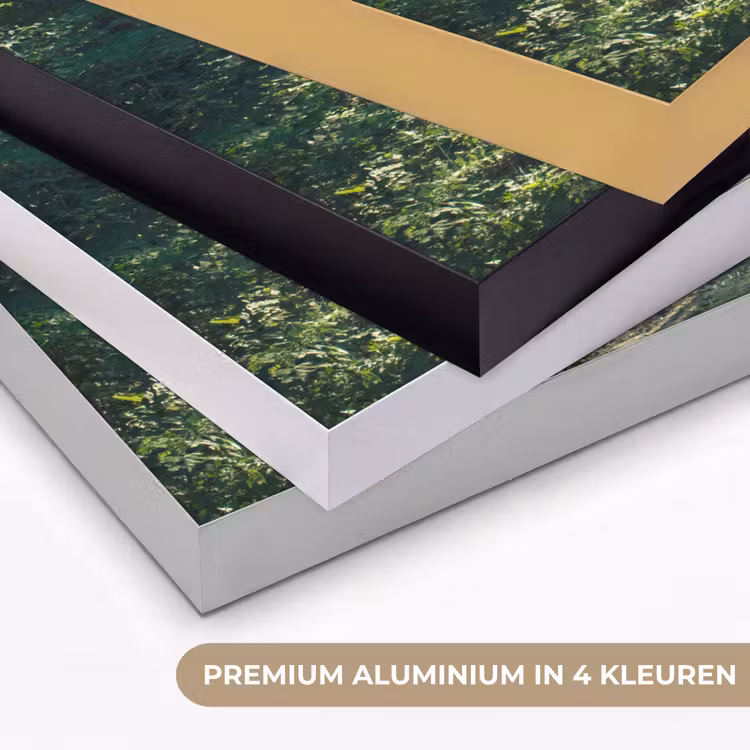 Bos - Pad - Zon - Bomen - Groen - Natuur Textielframe zwart klein -USP_kleurenNL