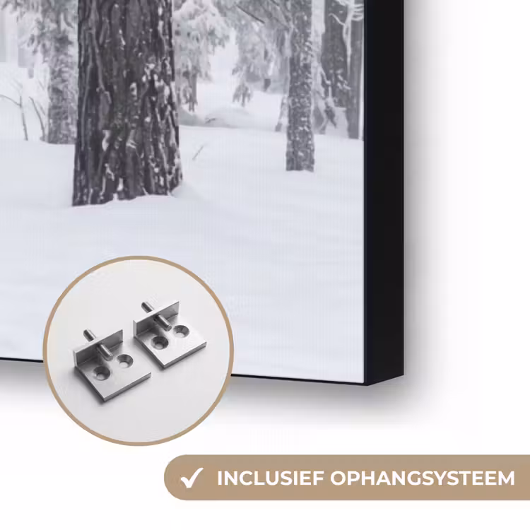 Bos - Sneeuw - Pad - Winter - Stilte Textielframe zwart klein -USP_ophangsysteemNL