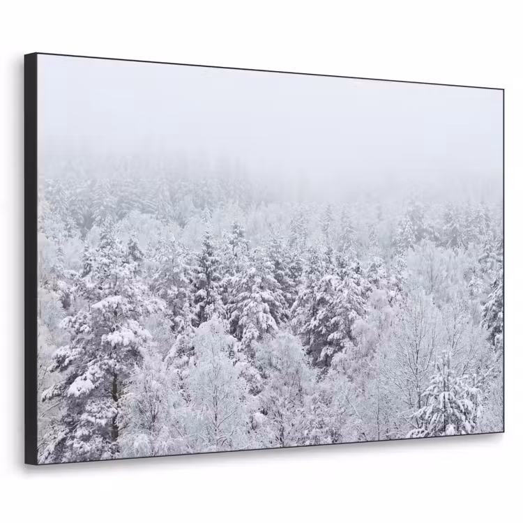 Bos - Sneeuw - Winter - Natuur - Wit Textielframe zwart klein -3d