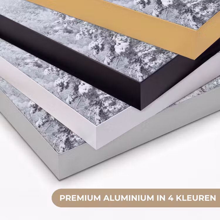 Bos - Sneeuw - Winter - Natuur - Wit Textielframe zwart klein -USP_kleurenNL