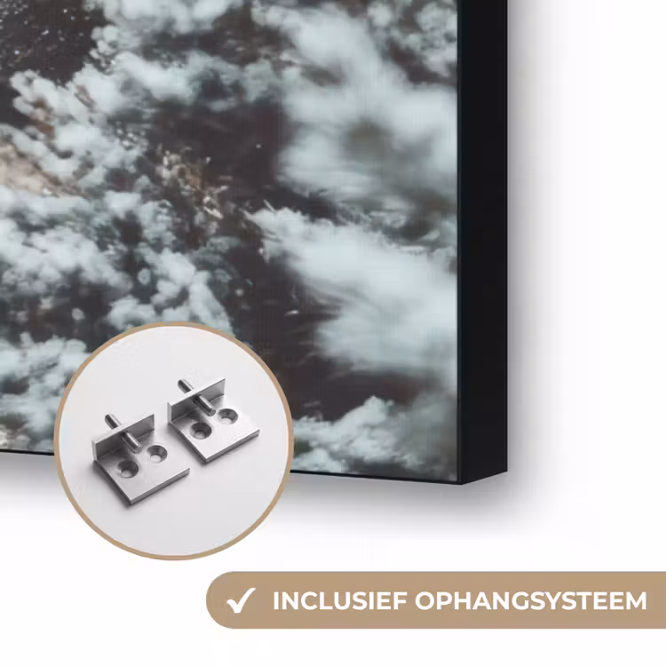 Bos - Winter - Bomen - Natuur - Pad - Sneeuw Textielframe zwart klein -USP_ophangsysteemNL