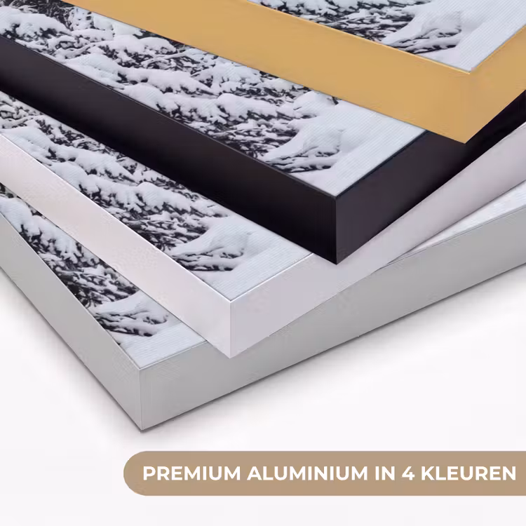 Bos - Winter - Sneeuw - Pad - Natuur Textielframe zwart klein -USP_kleurenNL
