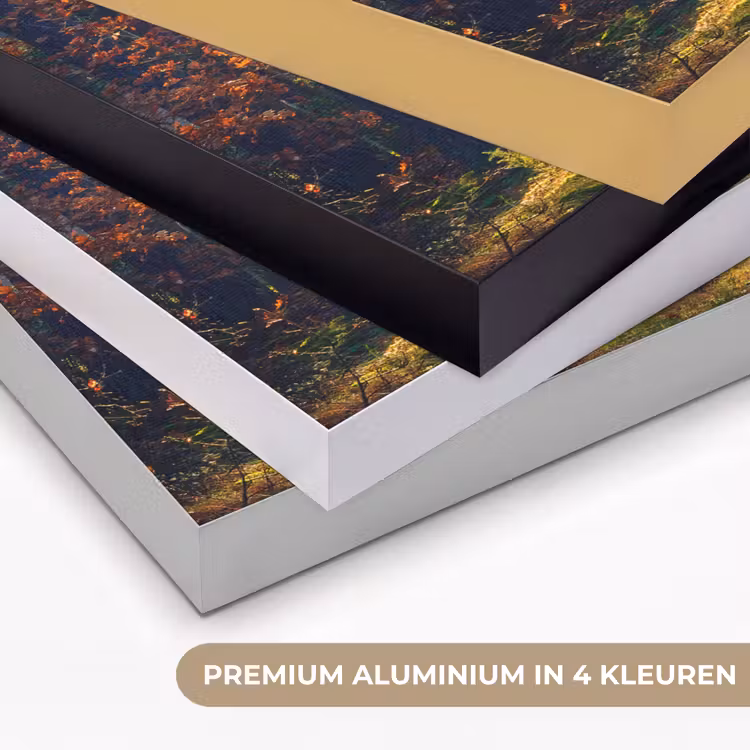 Bos - Zon - Natuur - Herfst Textielframe zwart klein -USP_kleurenNL