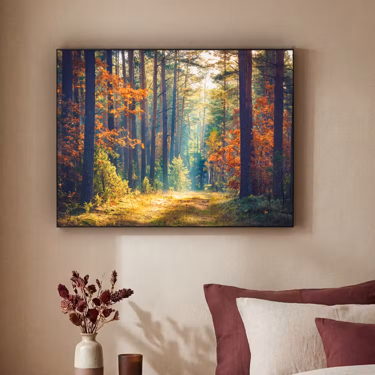 Bos - Zon - Natuur - Herfst Textielframe zwart klein -sfeer1