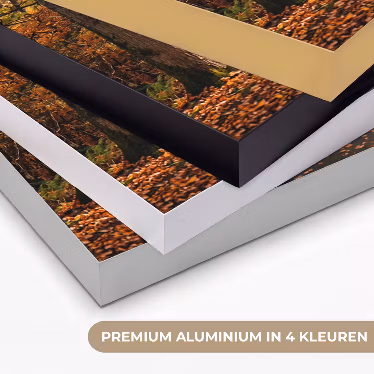 Bospad - Herfstbos - Bladeren - Oranje - Nostalgisch Textielframe zwart klein -USP_kleurenNL