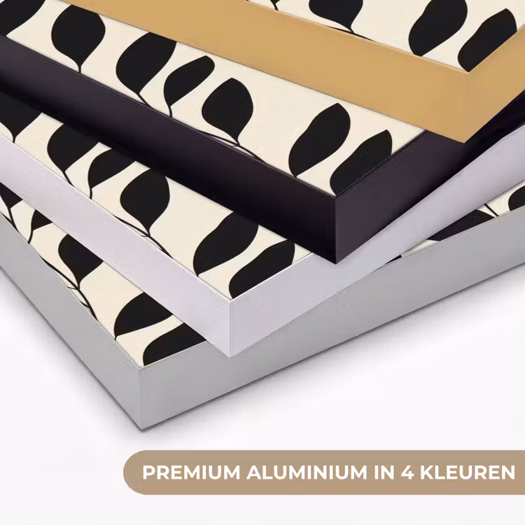 Botanisch - Dessin - Zwart - Beige Textielframe zwart klein 947 -USP_kleurenNL