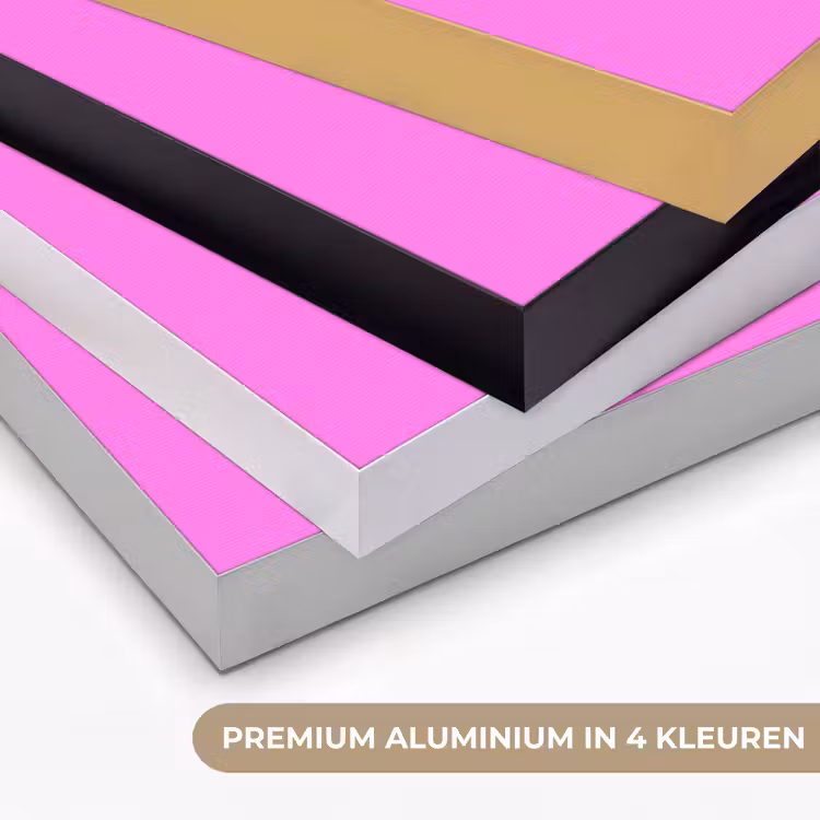 Bright - Orchid - Roze Textielframe zwart klein 947 -USP_kleurenNL