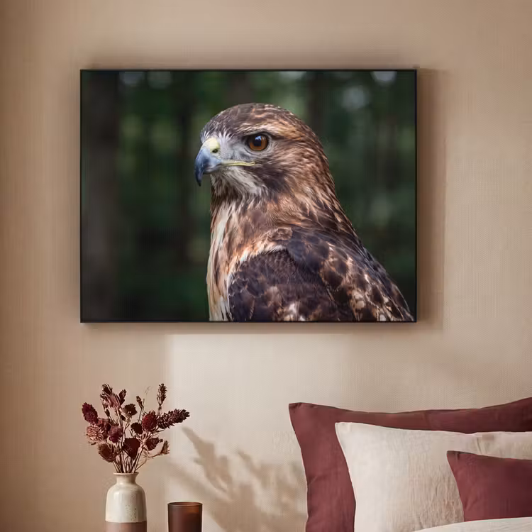 Buizerd - Roofvogel - Natuur - Bruin Textielframe zwart klein -sfeer1