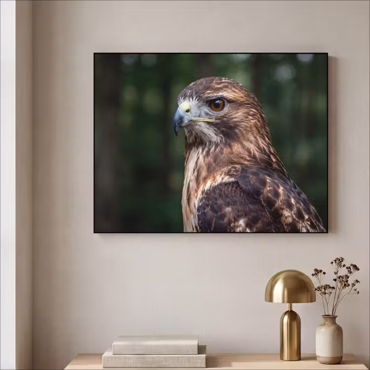 Buizerd - Roofvogel - Natuur - Bruin Textielframe zwart klein -sfeer2
