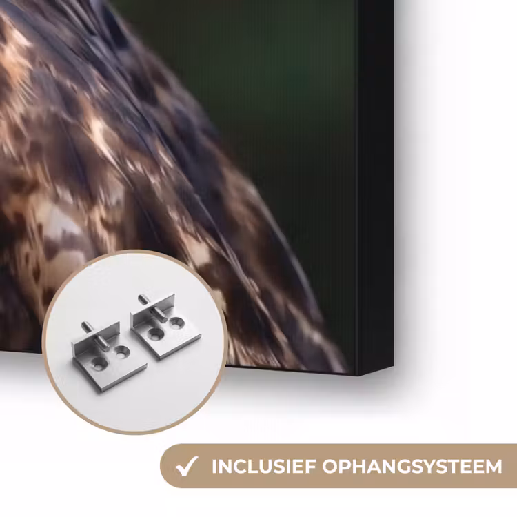 Buizerd - Roofvogel - Natuur - Bruin Textielframe zwart klein -USP_ophangsysteemNL