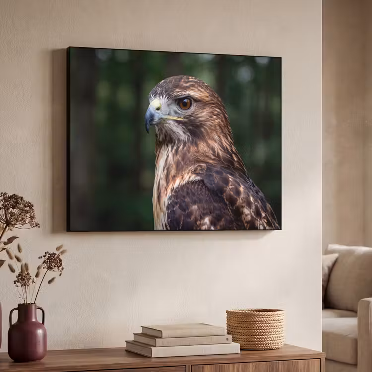 Buizerd - Roofvogel - Natuur - Bruin Textielframe zwart klein -sfeer3