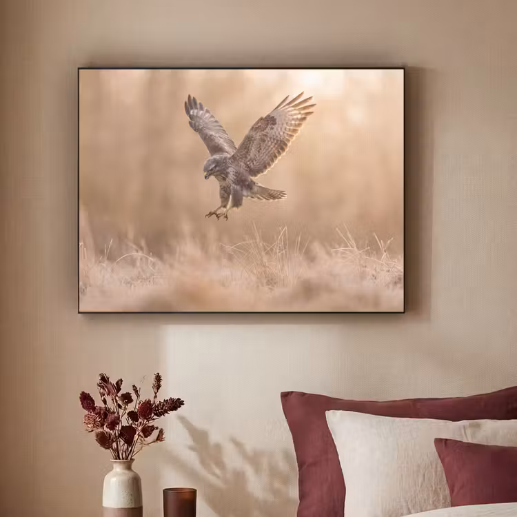 Buizerd - Roofvogel - Natuur - Bruin Textielframe zwart klein -sfeer1