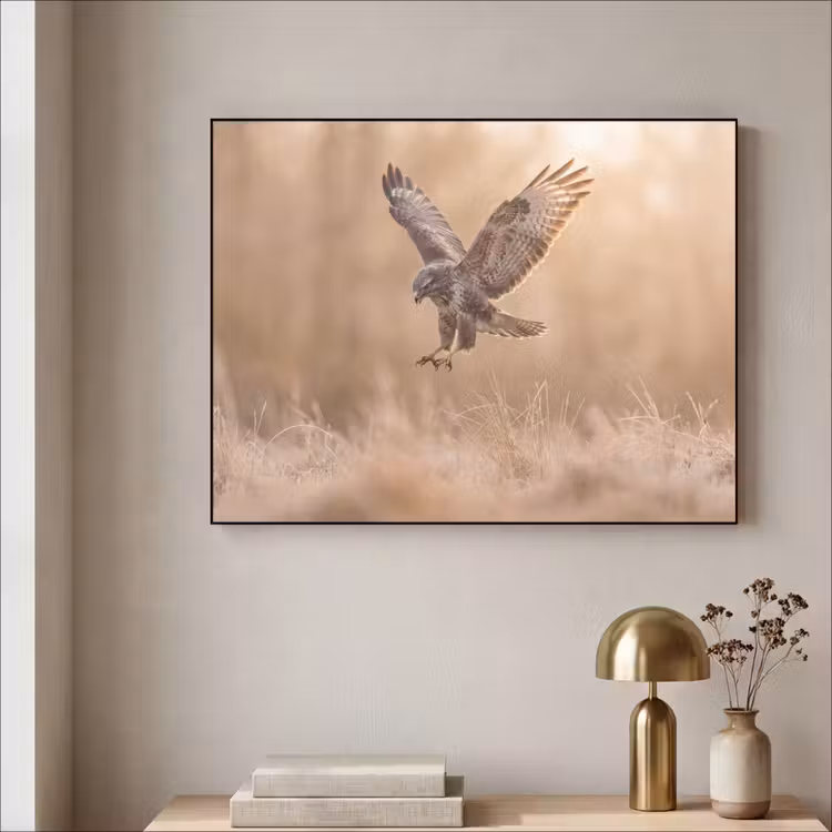 Buizerd - Roofvogel - Natuur - Bruin Textielframe zwart klein -sfeer2