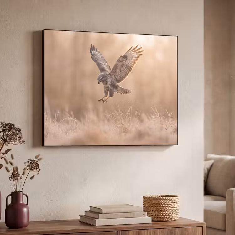 Buizerd - Roofvogel - Natuur - Bruin Textielframe zwart klein -sfeer3