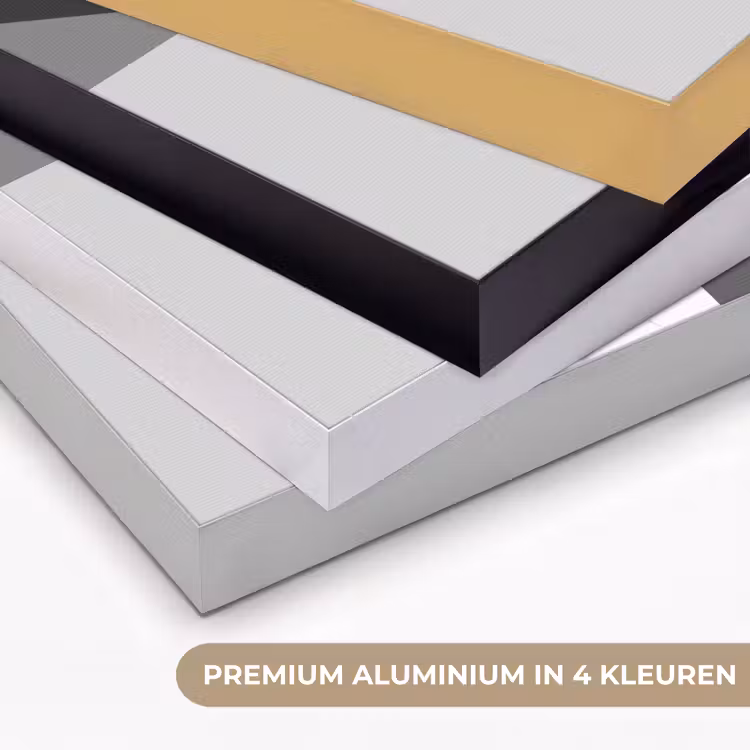 Buldog - Zwart - Abstract - Vlakken Textielframe zwart klein -USP_kleurenNL
