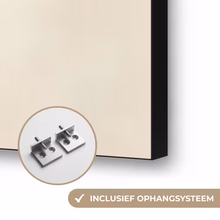 Cactus - Groen - Minimalistisch Textielframe zwart klein -USP_ophangsysteemNL