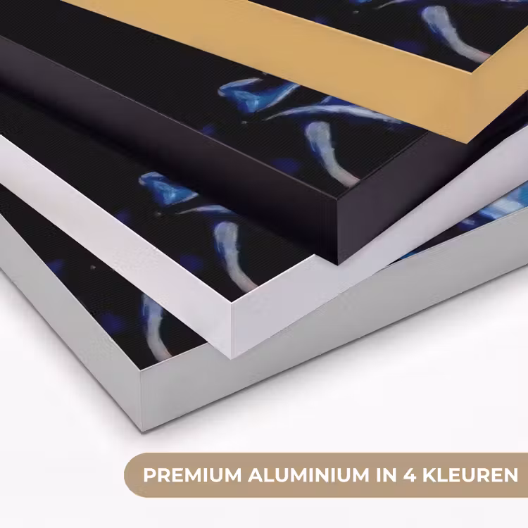 Champagne - Luxe - Oesters Textielframe zwart klein -USP_kleurenNL
