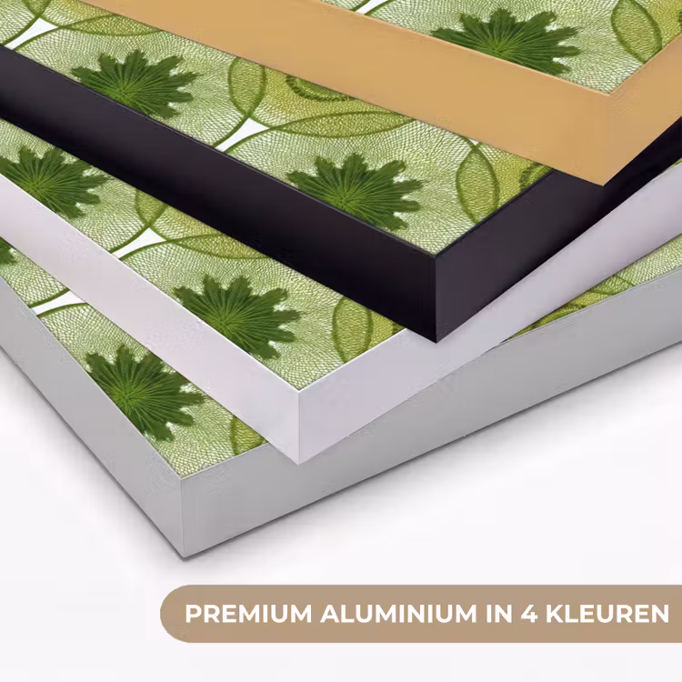 Cirkels - Patroon - Groen Textielframe zwart klein 947 -USP_kleurenNL