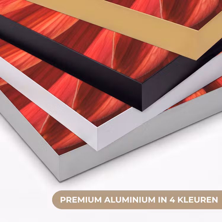 Close up - Bloem - Quote - Rood Textielframe zwart klein -USP_kleurenNL