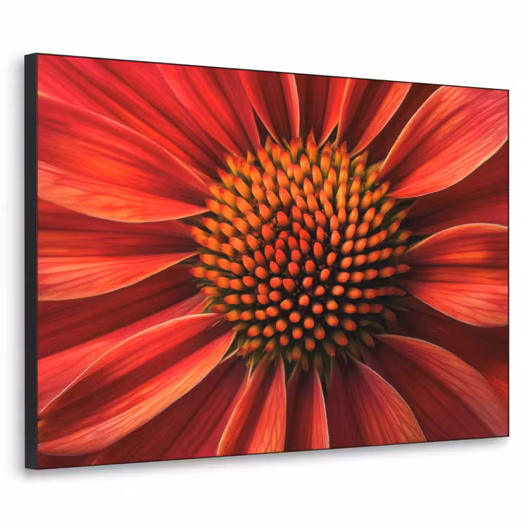 Close up - Bloem- Rood Textielframe - compleet frame klein -3d
