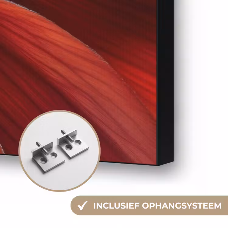 Close up - Bloem- Rood Textielframe zwart klein -USP_ophangsysteemNL