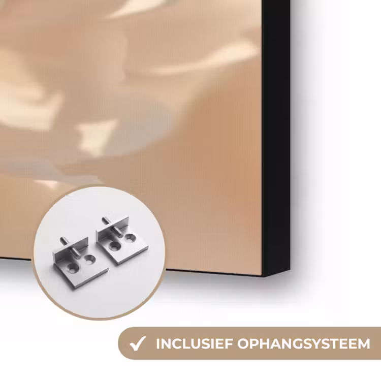 Close up - Pioenroos - Lichtroze Textielframe zwart klein -USP_ophangsysteemNL